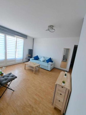 charmant-appartement-centre-ville Reims